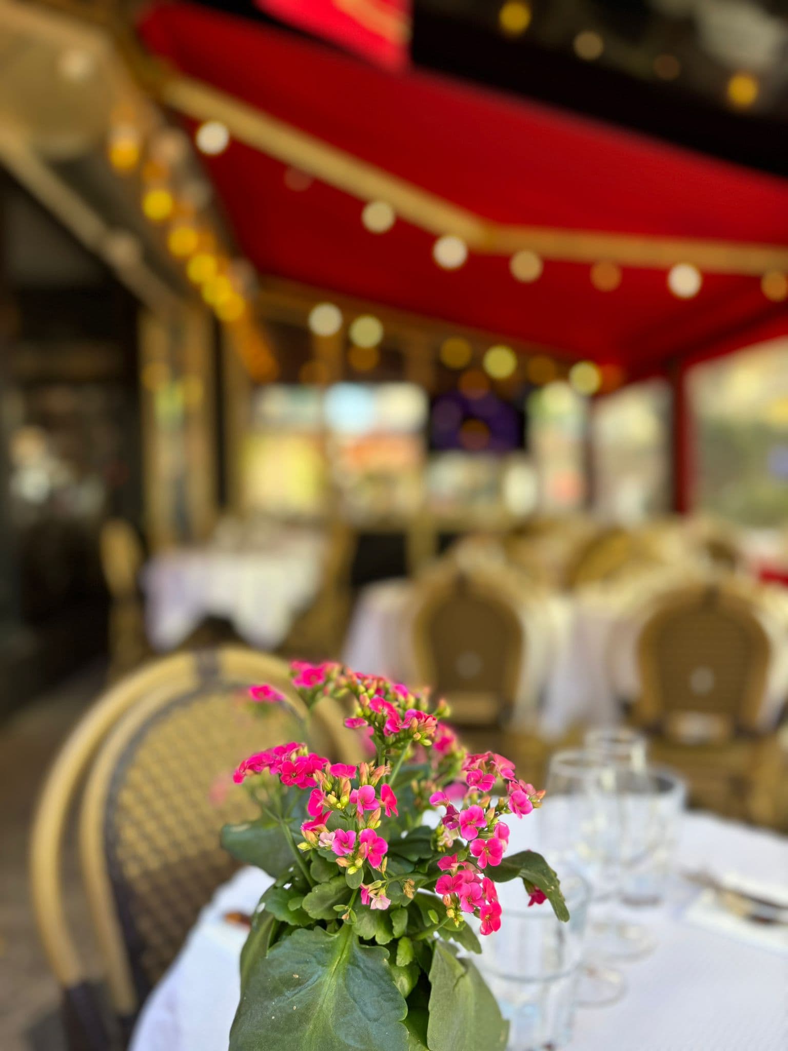 Petit Café de France - Photo 5